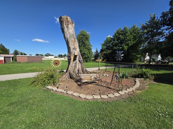 backyard_3.jpg