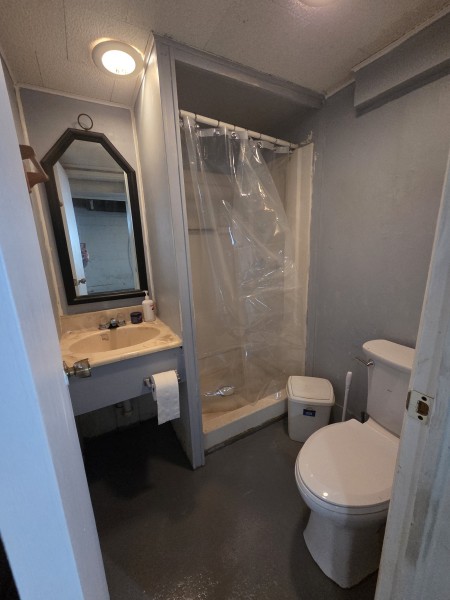 basementbathroom.jpg